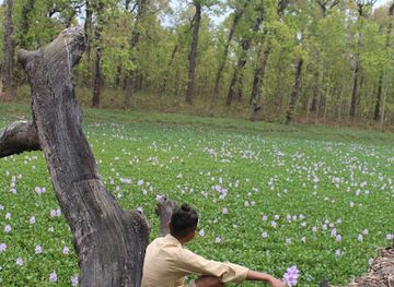 nepal/chitwan-national-park/attraction/orala-ghol-lake