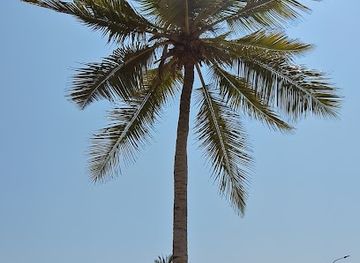 oman/salalah-coastal-plain/attraction/auqad-beach