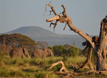 kenya/tsavo-national-park/attraction/tsavo-east-sala-gate