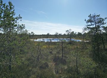 estonia/lahemaa/attraction/liiapeksi-aegviidu-matkarada