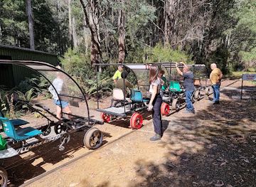 australia/mount-field-national-park/attraction/railtrack-riders