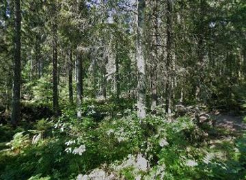 finland/kuopio/attraction/pikkukierto-round-trail-in-neulamaki