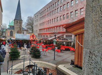 germany/essen/attraction/naturdenkmal-platane