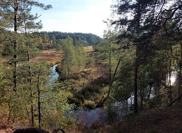 lithuania/dzukija-national-park/attraction/saudyklos-kalnas