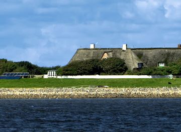 germany/north-frisia/attraction/hallig-suderoog-bird-sanctuary