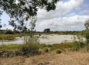 france/la-rochelle/attraction/marais-de-tasdon