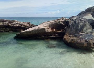 thailand/andaman-coast/attraction/phuket-elephant-sanctuary