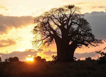 tanzania/arusha/attraction/earthlife-expeditions