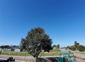 california/salinas-valley/attraction/tatum-s-garden