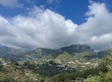 monaco/monte-carlo/attraction/la-ferme-des-citrons