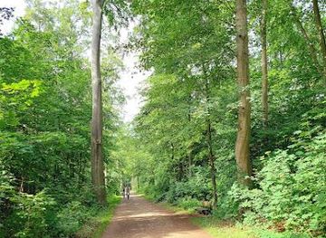 germany/lower-saxony/attraction/eilenriede-city-forest