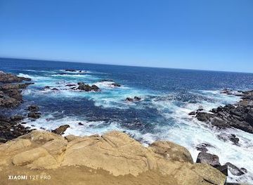 chile/concepcion/attraction/caleta-chome