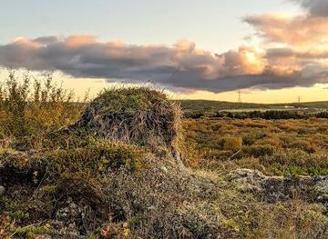 iceland/reykjavik/attraction/heiomork