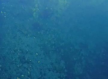 haiti/cotes-de-fer/attraction/deye-pale