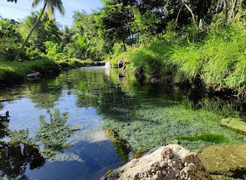 timor-leste/matebian-mountain/attraction/hot-spring-uai-cana