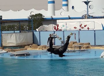 egypt/red-sea-coast/attraction/dolphin-world-egypt