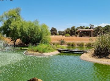 morocco/rabat/chellah/attraction/national-zoo-rabat-morocco