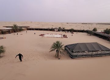 united-arab-emirates/liwa-oasis/attraction/abu-dhabi-desert-safari