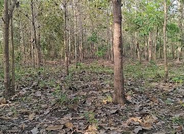 togo/agbodrafo/attraction/teckerais-lankpe-nasko