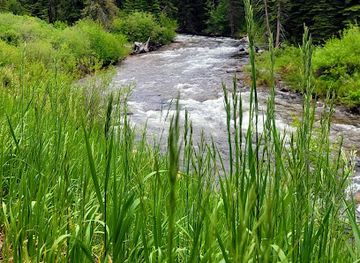 colorado/vail/attraction/vail-epic-discovery