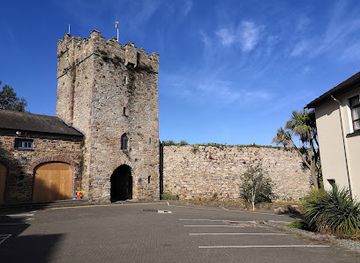 ireland/county-wexford/attraction/tours-of-selskar-abbey
