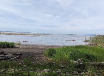 austria/bregenz/attraction/bregenz-achsee