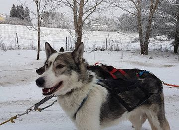 finland/pirkanmaa/attraction/gegwen-getaways