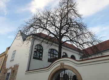 hungary/szekesfehervar/attraction/agyu-kozepkori-maradvany