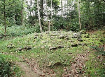 switzerland/aargau/attraction/hallstatt-grab