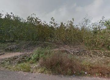 nigeria/erin-ijesha-waterfall/attraction/government-reserve