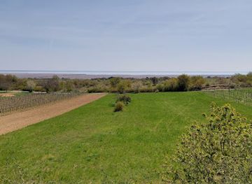 austria/burgenland/attraction/thenau-nature-reserve