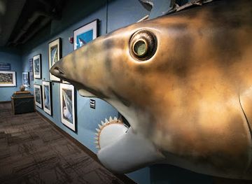 idaho/pocatello/attraction/idaho-museum-of-natural-history