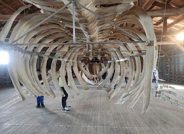 chile/punta-arenas/attraction/museo-de-historia-natural-rio-seco