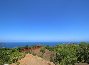 mayotte/plage-de-saziley/attraction/padzas-de-dapani