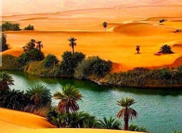 egypt/white-desert-national-park/attraction/western-sahara