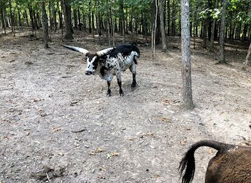 missouri/table-rock-lake/attraction/branson-s-promised-land-zoo