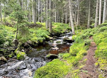 czechia/sumava-national-park/attraction/naucna-stezka-modrava-filipova-hut