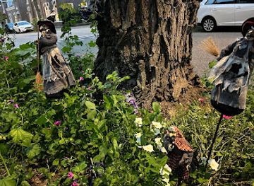 netherlands/nijmegen/attraction/kabouterstraat