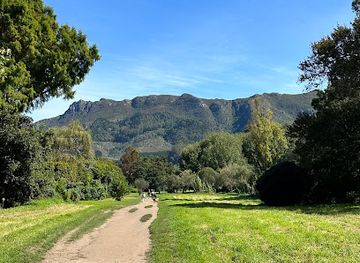 south-africa/cape-town/constantia/attraction/constantia-greenbelt-and-forest