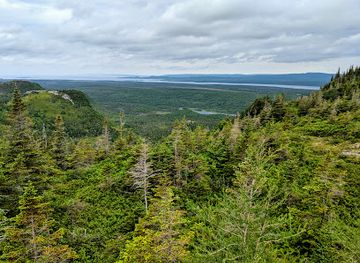 canada/avalon-peninsula/attraction/barachois-pond-provincial-park