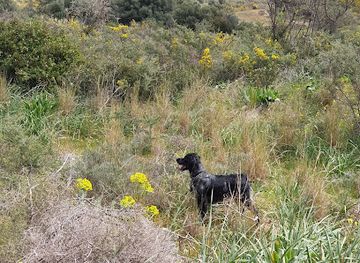 greece/kefalonia/attraction/kefalonia-game-farm