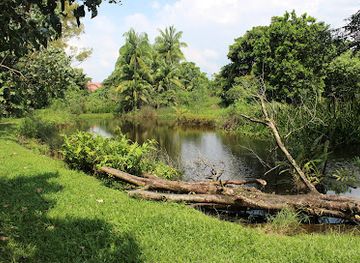 singapore/sungei-buloh-wetland-reserve/attraction/dragonfly-pod