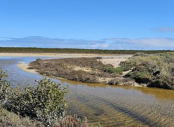 australia/adelaide/attraction/adelaide-international-bird-sanctuary-national-park