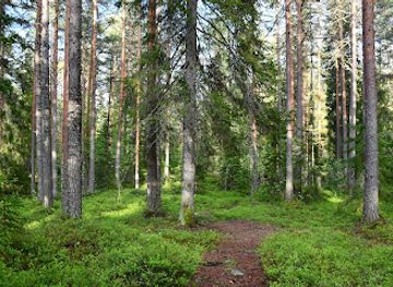 finland/savonlinna/attraction/talvisalo-forest-trails