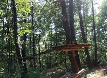 slovenia/drava/attraction/pustolovski-park-vurberk