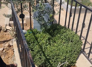 jordan/azraq-wetland-reserve/attraction/mtl