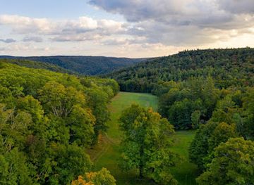 massachusetts/mohawk-trail-state-forest/attraction/better-place-forests-berkshires