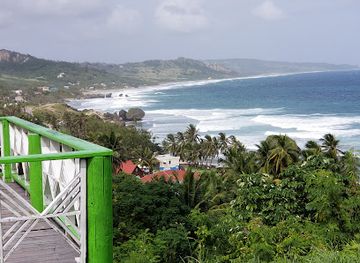 barbados/bathsheba/attraction/grenade-hall-forest-signal-station
