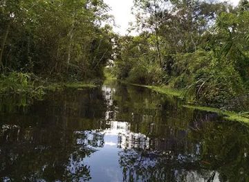 peru/junin/attraction/nuevo-junin