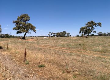 australia/mallee/attraction/the-great-aussie-beer-shed-heritage-farm-museum